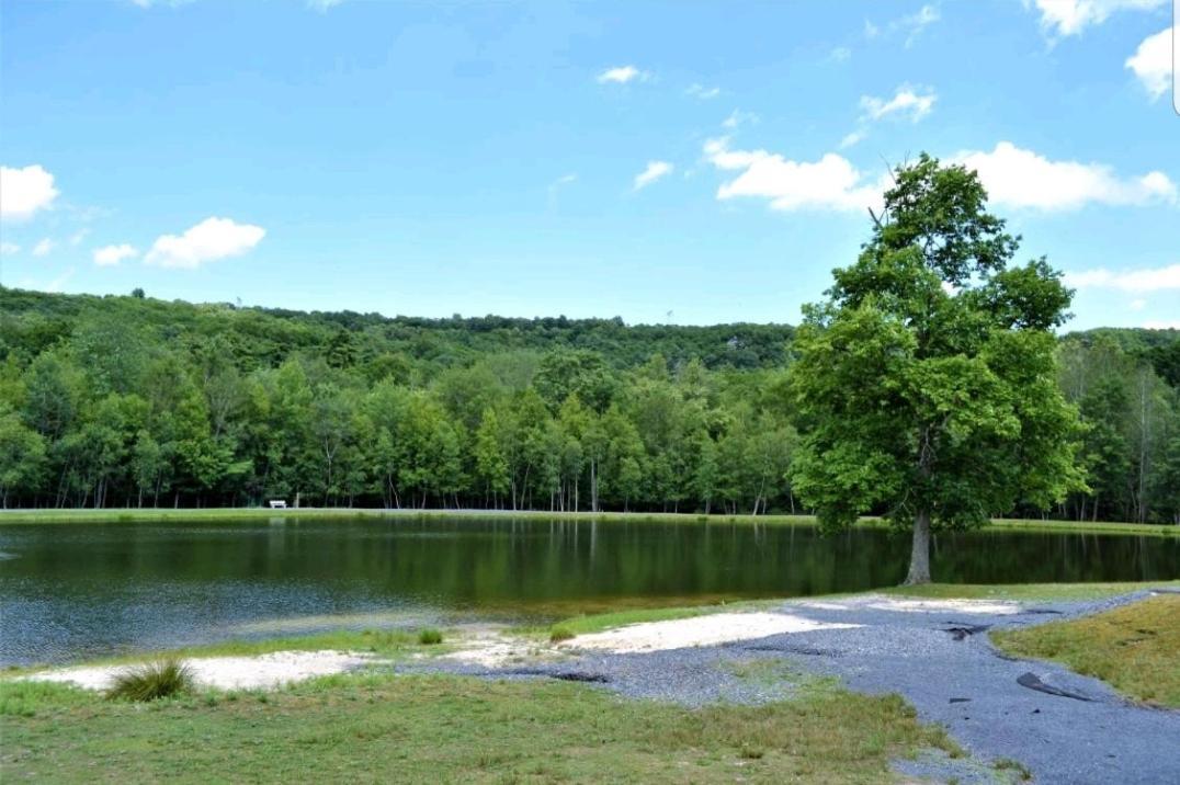 *Amenity-Filled Waterfront Oasis @Saw Creek Estates Near Waterfalls And Hiking* East Stroudsburg Dış mekan fotoğraf