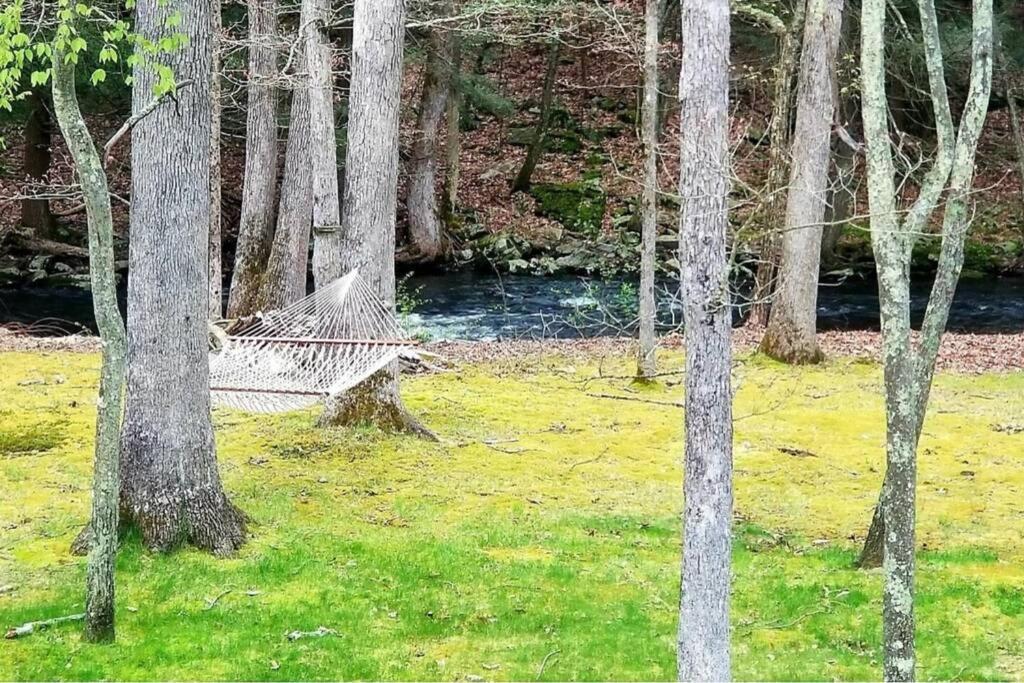 *Amenity-Filled Waterfront Oasis @Saw Creek Estates Near Waterfalls And Hiking* East Stroudsburg Dış mekan fotoğraf