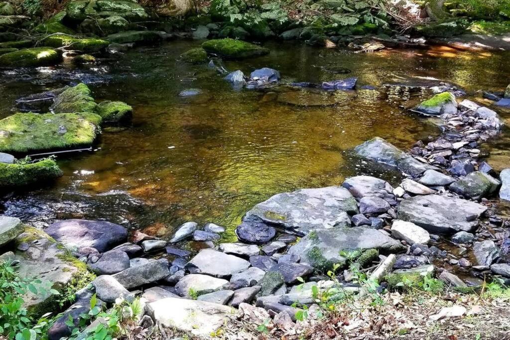 *Amenity-Filled Waterfront Oasis @Saw Creek Estates Near Waterfalls And Hiking* East Stroudsburg Dış mekan fotoğraf